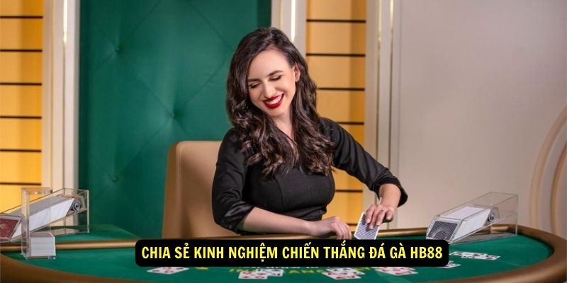 Đá gà hb88 - Giải trí đỉnh cao, Thưởng lớn không giới hạn 3 Chia sẻ kinh nghiệm chiến thắng Đá gà hb88